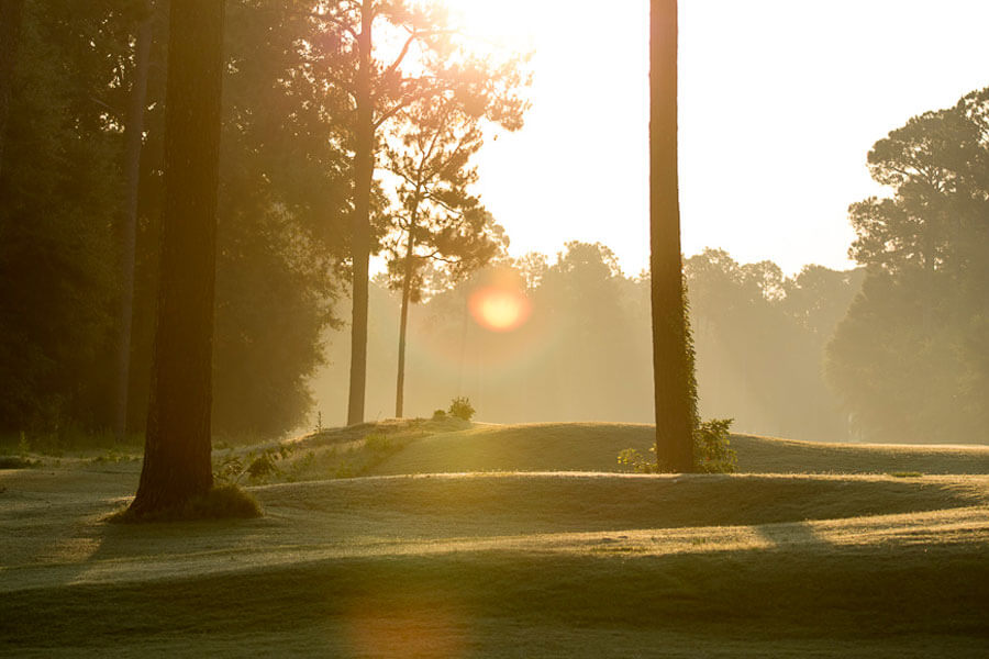 Golf Packages Lake Blackshear Resort & Golf Club Cordele, GA